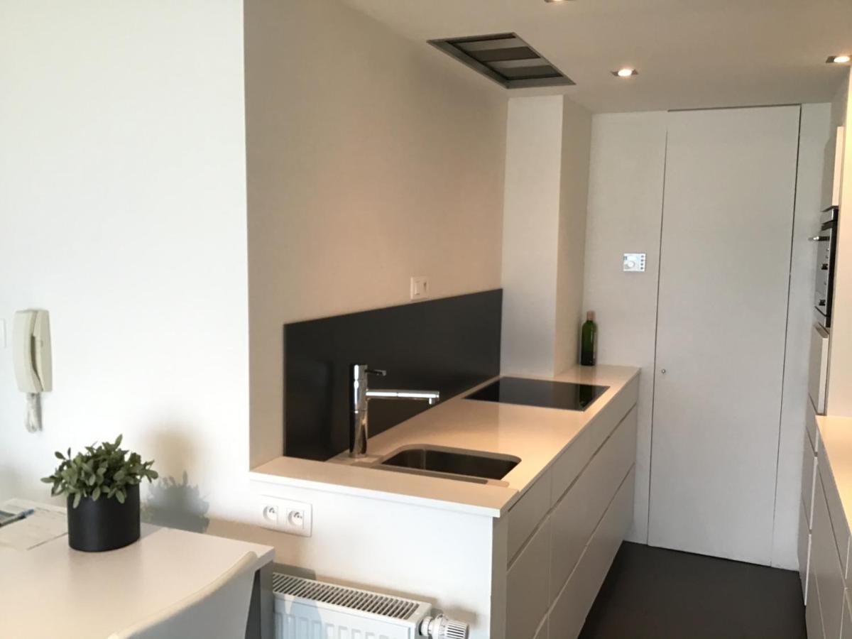 Marjolaine Zeezicht - Nieuwpoort-Bad Met Gratis Garagebox Apartman Kültér fotó