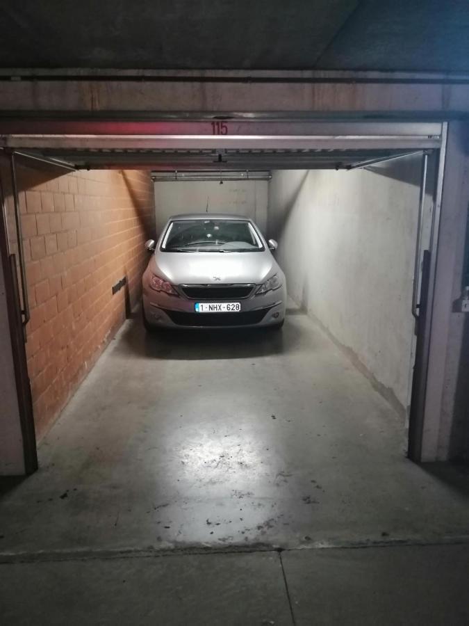Marjolaine Zeezicht - Nieuwpoort-Bad Met Gratis Garagebox Apartman Kültér fotó
